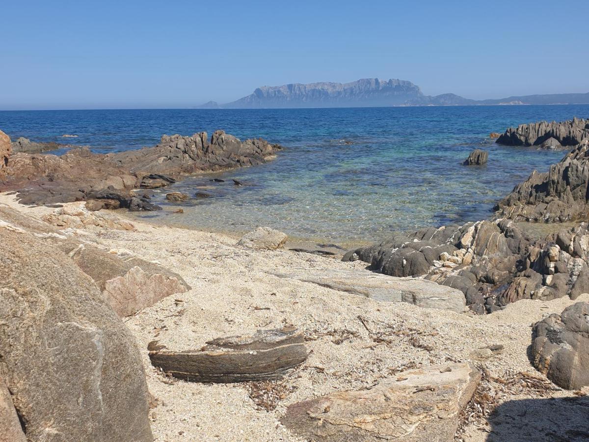 Home On Sardinia Beach Olbia Exterior foto